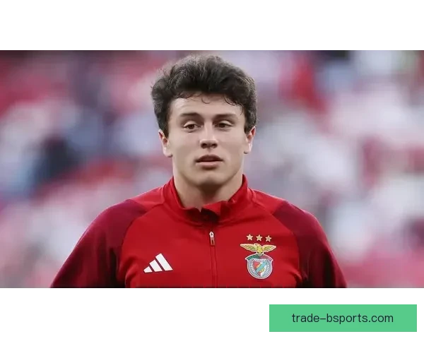 从本菲卡青训杀手到巴黎锋线新核贡萨洛拉莫斯转会背后博弈与野心